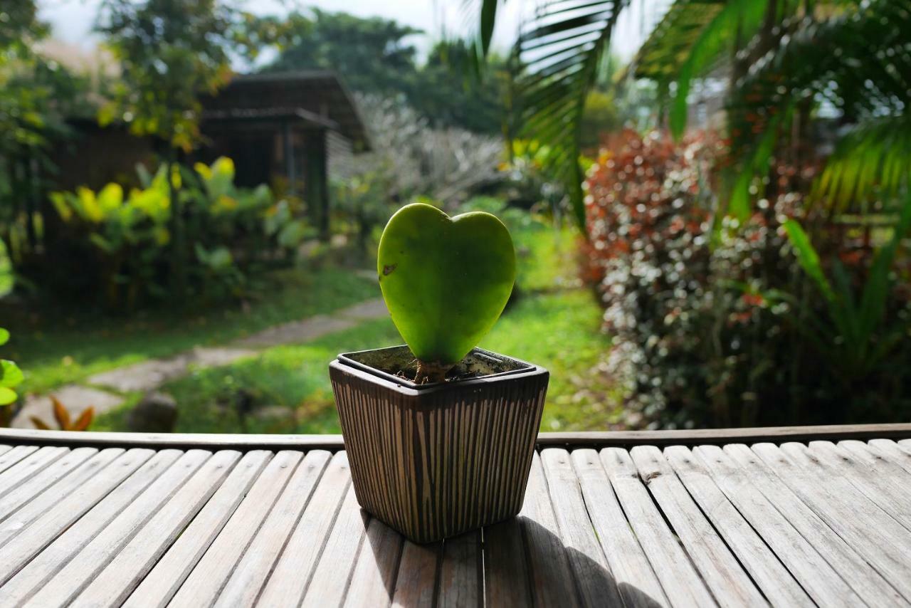Love Pai Home エクステリア 写真