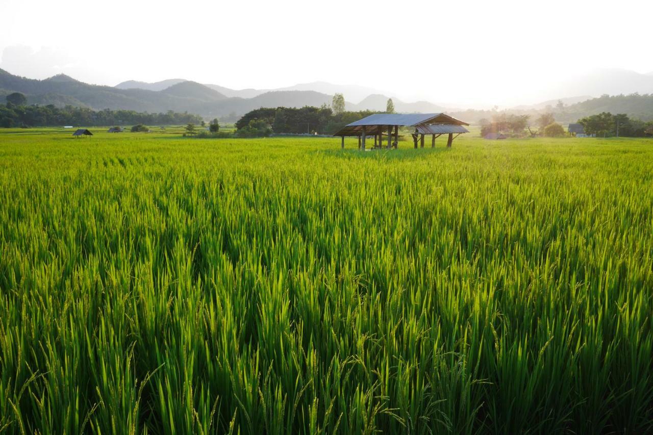 Love Pai Home エクステリア 写真
